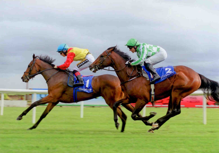 Buenos Y Bobos Fairyhouse 30th Sept